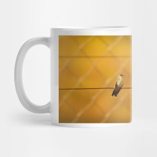 cli green hummingbird Mug